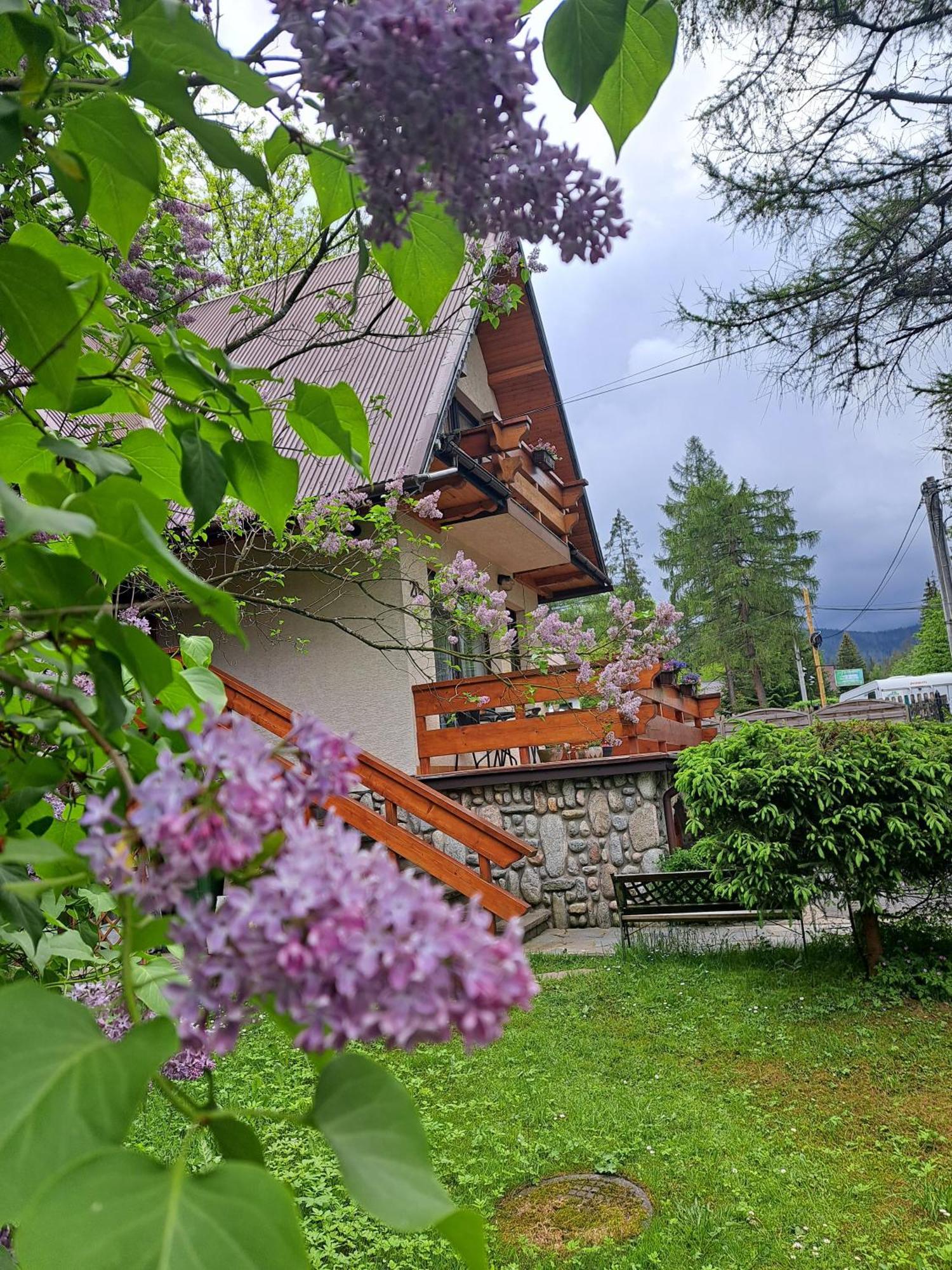 Pokoje Goscinne U Wandy Zakopane Dış mekan fotoğraf